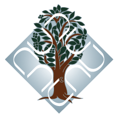 Dr. B. R. Ambedkar University  logo