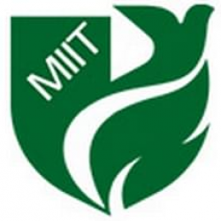 MEERUT INTERNATIONAL INSTITUTE OF TECHNOLOGY logo