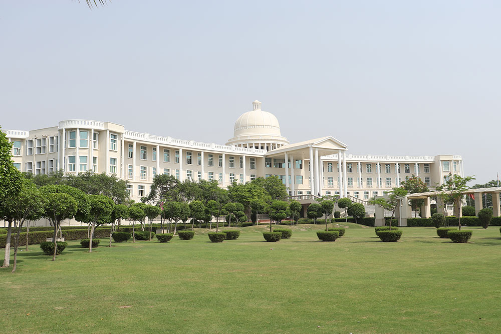Noida International University, Noida